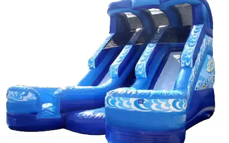 Double Water Slide Inflatable