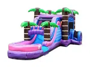 Purple Marble Inflatable Combo